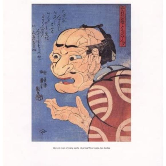 The Playful Eye: An Album of Visual Delight Mind Puzzle Coffee Table Book - Picture 9 of 11